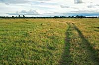 Meadows in Vecdaugava peninsula