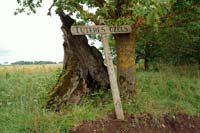 Locality of Tutere oak-tree